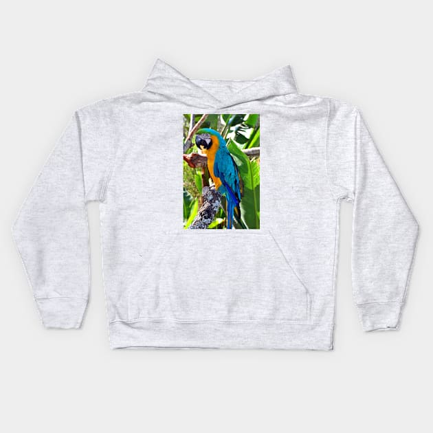 Macaw Parrot Yellow And Blue Bird Kids Hoodie by AndyEvansPhotos